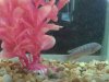 20140330_163535.jpg