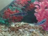20140330_163725.jpg