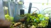 WIN_20140603_194353.JPG