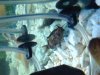 IMG_1573.JPG