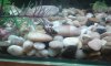 20150227_122448.jpg