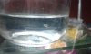20150228_135153.jpg