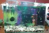 20150305_115614.jpg