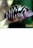 2015-03-11 07.50.14.png