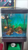 Screenshot_2015-03-31-17-31-38.png