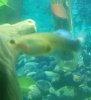 IMG_201512350_095704.jpg
