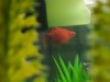 IMG-20160113-WA0025.jpg