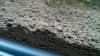 IMG_20160120_194456.jpg