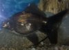 WP_20160204_15_55_26_Pro.jpg