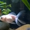 WP_20160214_18_33_41_Pro.jpg