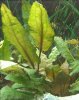 IMG_20160226_230351.jpg