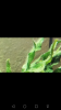 Screenshot_2016-03-04-21-10-31.png