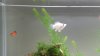 20160309_211407.jpg