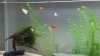 20160309_211811.jpg