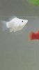 20160309_235133.jpg