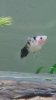 20160309_235114.jpg