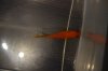 DSC02810.JPG