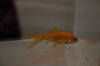 DSC02812.JPG