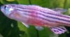 IMG_20160422_171554.jpg