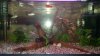 IMG-20160506-WA0014.jpeg
