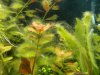 IMG_20160519_193814.jpg