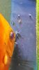 20160608_213503.jpg