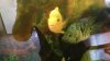 20160616_114837.jpg