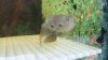 20160616_115020.jpg