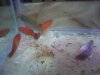 IMG_20160625_115657.jpg