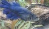 20160705_111255.jpg