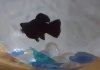 20160816_234627.jpg