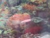 20160823_104418_opt.jpg