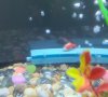 20200805_214343.jpg
