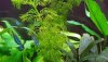 20200815_203219.jpg