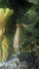 1597614147449.png