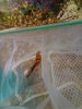 IMG_20200829_161932 low res.jpg