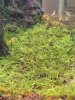 IMG_1113 (1).jpeg