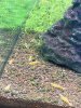IMG_1112 (1).jpeg