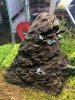 IMG_1109 (1).jpeg