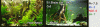pecera_2010_2.gif