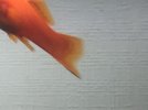 IMG-20201020-WA0077.jpg