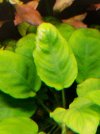 20201119_182601.jpg