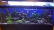 20201130_205059.jpg