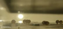 IMG_20201130_232824.jpg