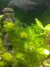 IMG_20201203_185952.jpg
