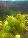 IMG_20201203_185945.jpg