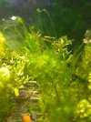 IMG_20201203_185940.jpg