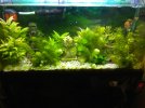 IMG_20201203_190552.jpg