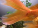 20201203_174612.jpg