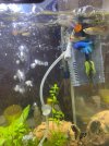 IMG-20201209-WA0006.jpg